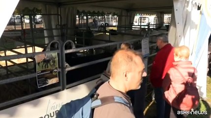 I francesi esasperati dalla crisi politica: è un disastro