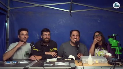 Investigadores del Conicet encontraron un huevo de dinosaurio carnívoro en un excepcional estado de preservación