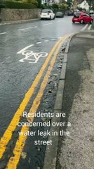 Water leak in recently resurfaced Road still not fixed after two weeks