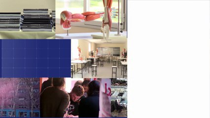 BLOC DE NOTAS SEMANAL -  PRG 317