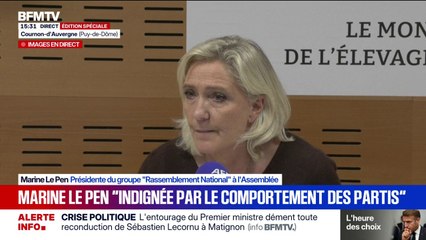 Crise politique: "Ils crèvent de peur de retourner devant les électeurs" déclare Marine Le Pen à propos d'une partie de la classe politique