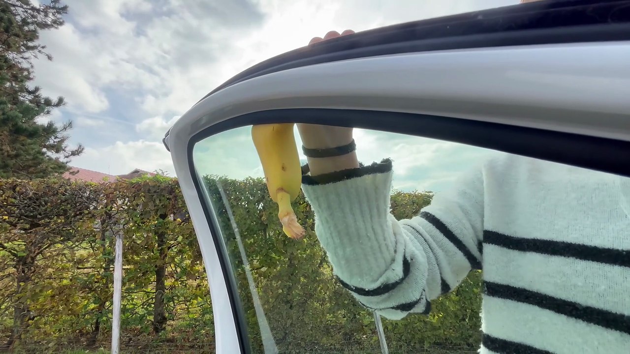 Test vitre électrique