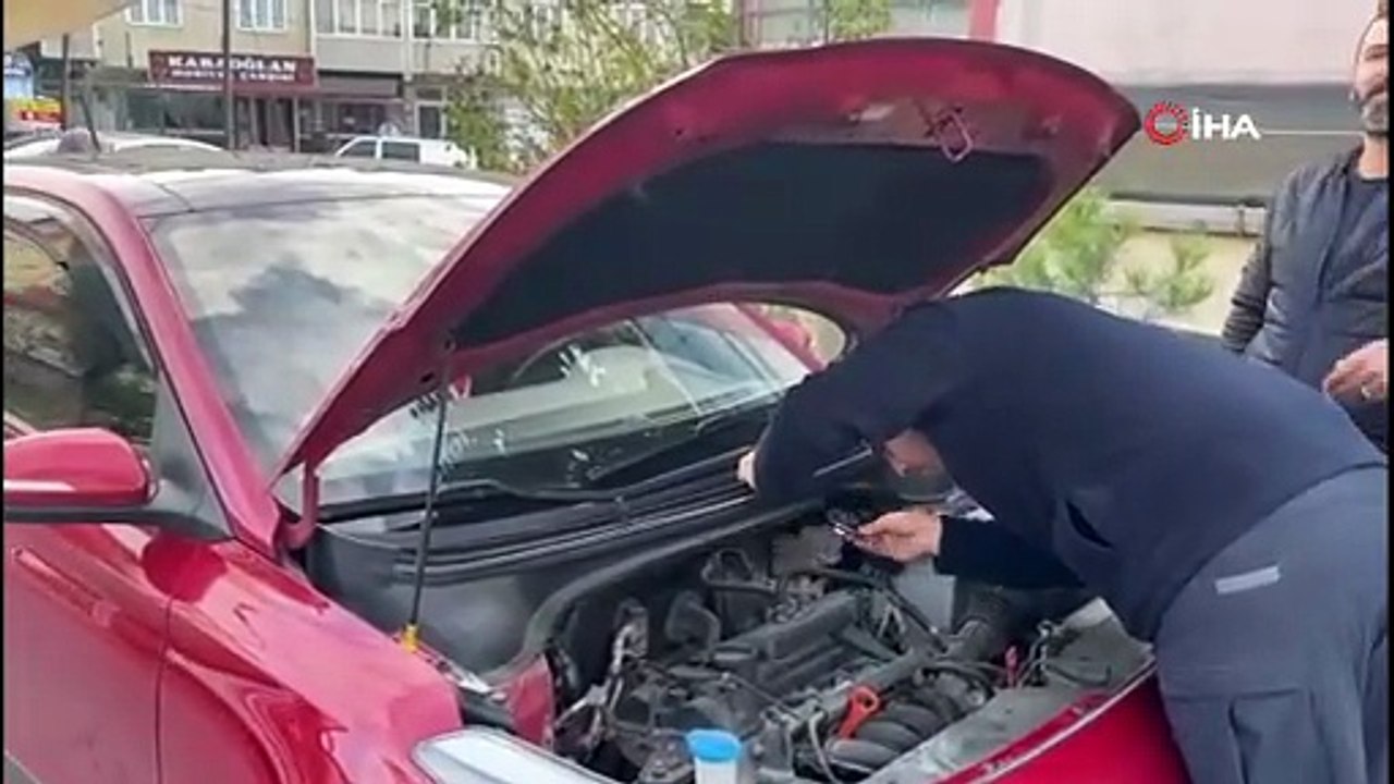 Minik Kediler Ölümden Döndü!