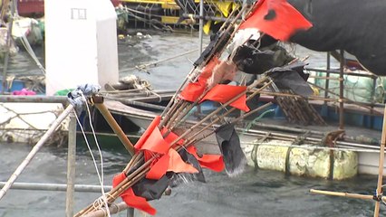 [날씨] 내일 중부 기온 제자리...해상 높은 물결 계속 / YTN