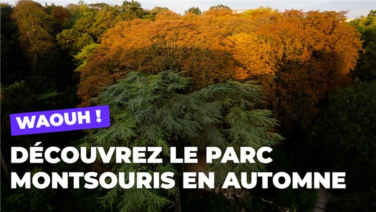 Le plus beau parc de Paris en automne | Paris Nature  |Ville de Paris