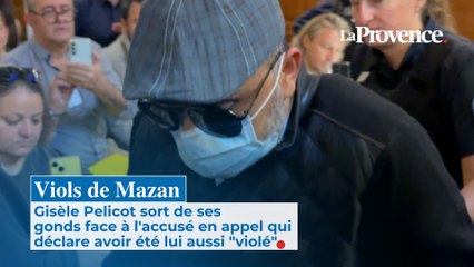 Gisèle Pelicot sort de ses gonds face à l'accusé en appel qui déclare avoir été lui aussi "violé"