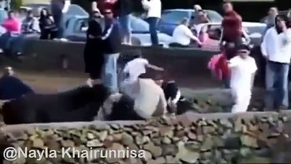 Video Lucu Funny Video Banteng Menyerang Orang Di Jalan Umum