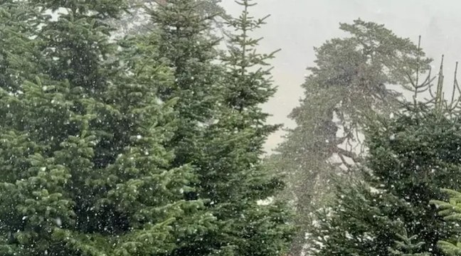 Bolu'nun yüksek kesimlerine kar yağdı