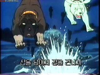 명견실버 2nd 오프닝