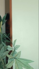 Elle a mis les points sur les i ✍️