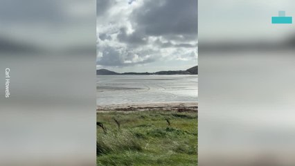 Beach Airport's Amazing Takeoffs