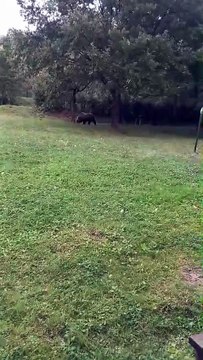 Image from field_mediaid