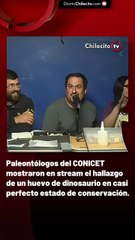 Paleontólogos del CONICET mostraron en stream el hallazgo de un huevo de dinosaurio en casi perfecto estado de conservación.