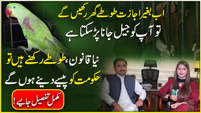 Shocking News for Parrot Lovers | License Required Now | Full Information | Daily Pakistan