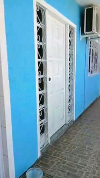 Cobra invade casa e assusta moradores na Grande Florianópolis