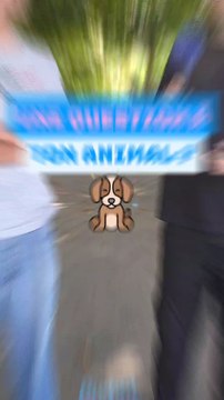 Tu poserais quelle question à ton animal de compagnie toi ? 🐈#animal #chat #chien #microtrottoir