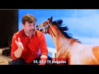 ¿Conoces los Televisores Nano92 de LG?