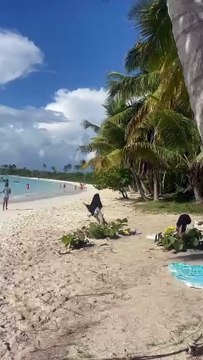 PLAYA TORO ISLA SAONA BAYAHIBE REGION ESTE REPUBLICA DOMINICANA