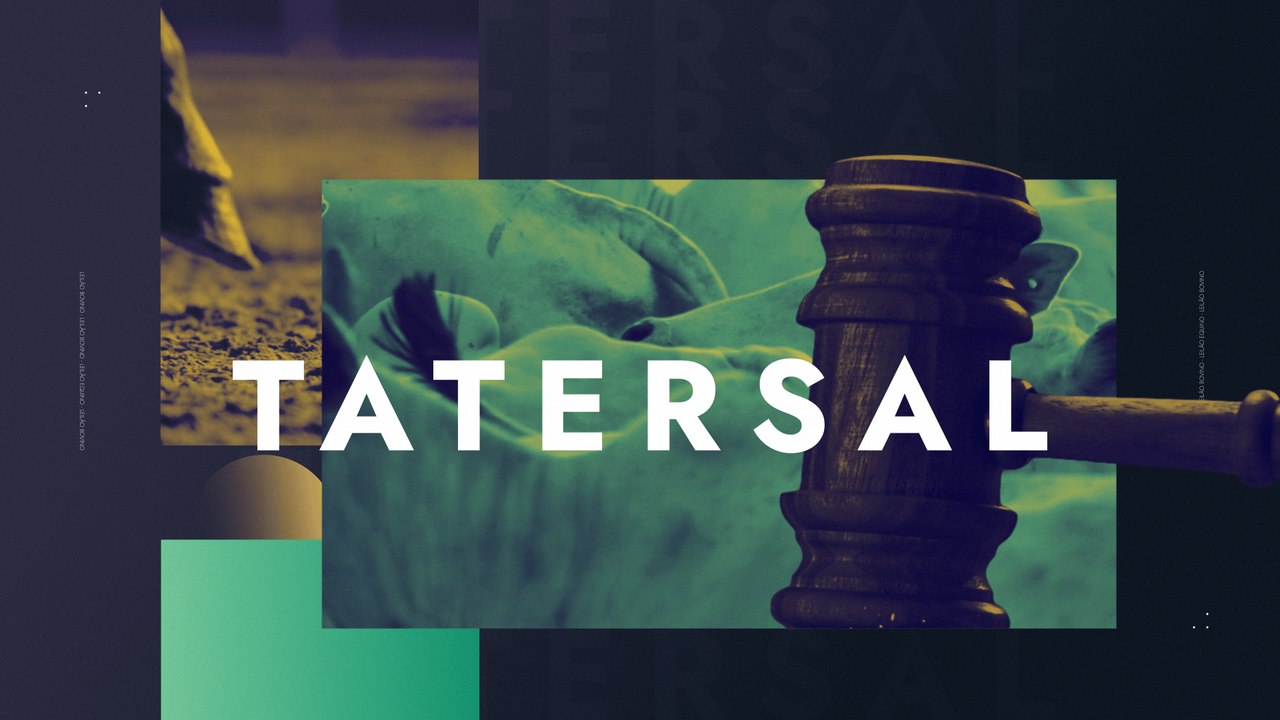 TATERSAL - 08/10/2025