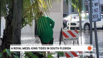 Royal mess: king tides in South Florida