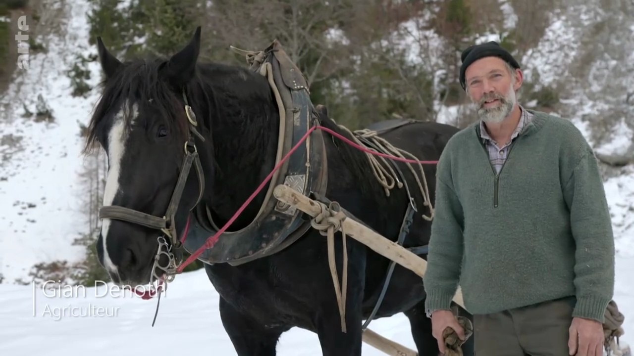 Histoire de la domestication - Épisode 2 -  De l'âge industriel à nos jours