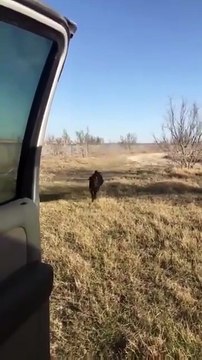 Ne réfléchis pas, bouge !