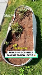 She started by poisoning my plants... 😡