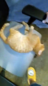 **Spinning : tourne, pas la tête.**