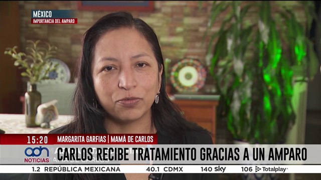 La ley de amparo y el caso de Carlos: cómo ganó un fallo histórico por marihuana medicinal