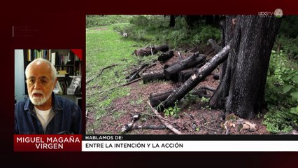 Entre la intención y la acción | Miguel Magaña