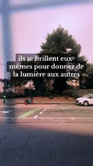 Nous pouvons choisir de garder espoir et persévérer dans les bonnes actions