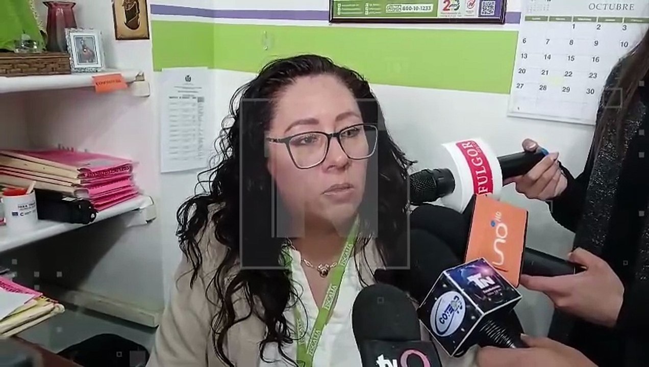 Caso minibús