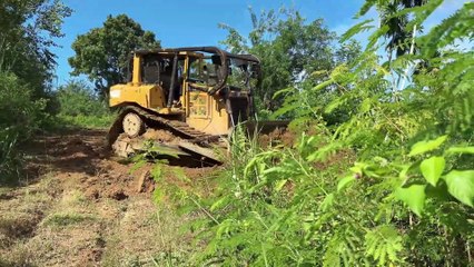 Optimization of Old Plantation Roads with a D6R XL Bulldozer