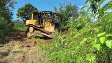 Optimization of Old Plantation Roads with a D6R XL Bulldozer