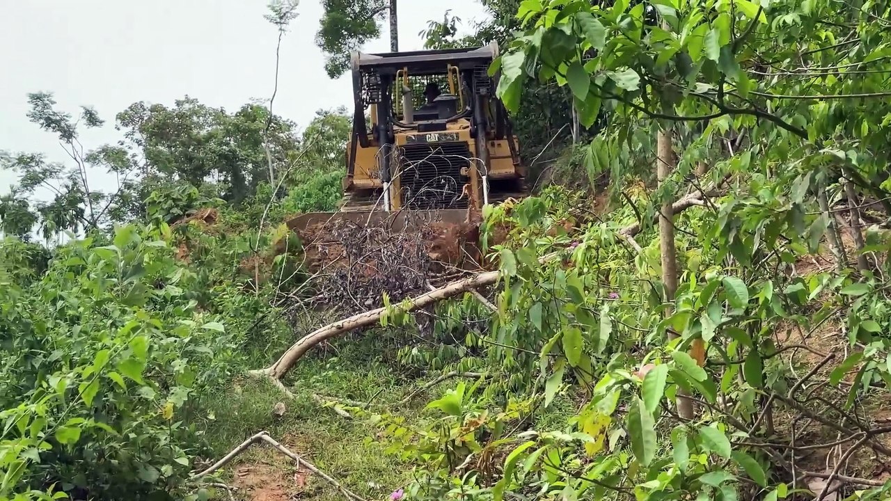 Reviving Plantation Road Infrastructure with a D6R XL Bulldozer