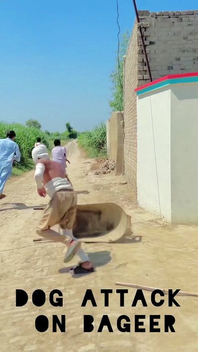 Dog attack on Bageer
