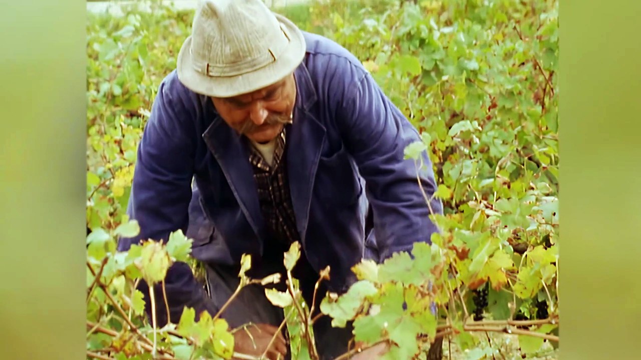 09 - John Thaw - A Year in Provence - "Chateau Mayle" - April 1993 - HD Upscale - Stereo