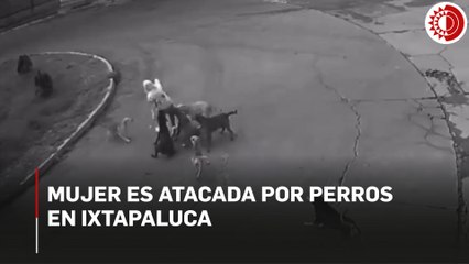 Mujer es atacada por perros en Ixtapaluca