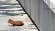 You have a good time discovering funny news