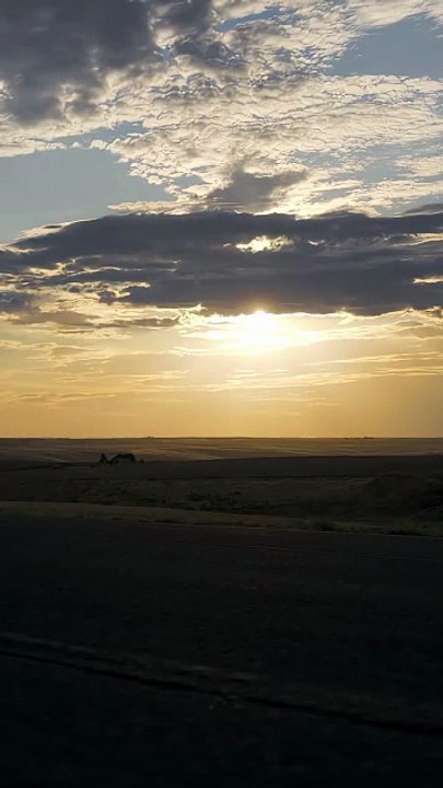 2026 Kawasaki Z1100 SE ABS – das stärkste Z-Supernaked! 🔥 #KawasakiZ1100 #Supernaked #Motorrad