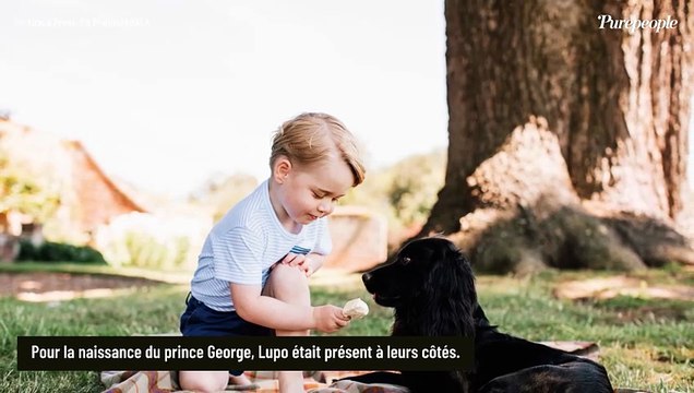 Kate et William ont perdu un être cher, le prince de Galles revient sur ce moment traversé en famille : Nous étions tous là, malheureusement