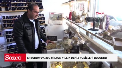 Erzurum'da 200 milyon yıllık deniz fosilleri bulundu