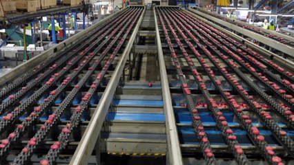 Fresh potatoes in short supply due to extreme weather in South Australia