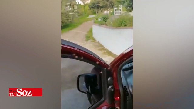 Kokarca böcekleri aracını istila etti