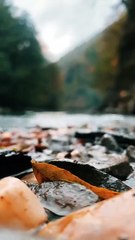 589709838_mp4_h264_aac_vert_1