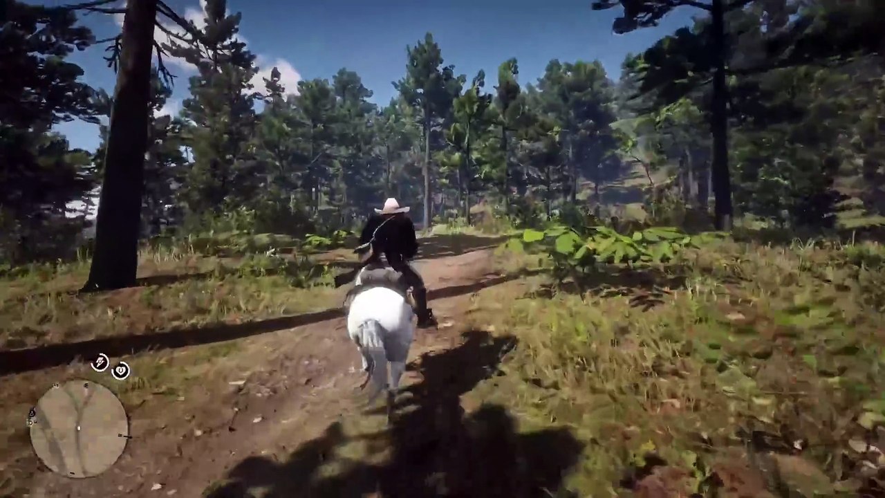 28. 7 Years Have Passed & Players Still Haven't Discovered These Yet in RDR2