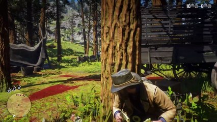 29. Yes.. Every Player Must Know These in Chapter 2 - RDR2