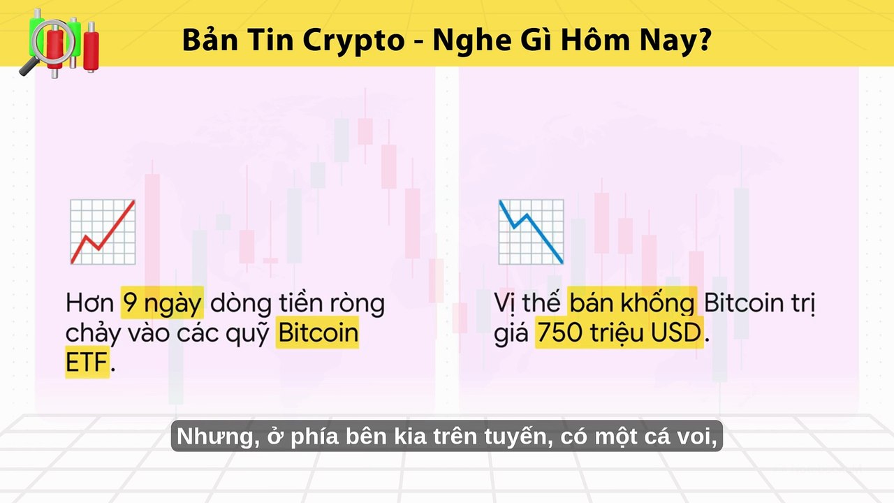 Bản Tin Thị Trường Crypto Ngày 10/10/2025: Dòng Tiền Tổ Chức Tăng Mạnh, Phát Triển Hệ Sinh Thái Và Thay Đổi Quy Định