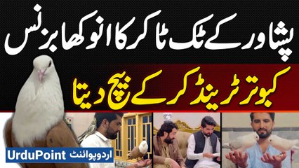 TikToker Naseem Aslam Trains Pigeons & Sells Them - How Much Did Zafar Supari Pay for Tiger Pigeon?