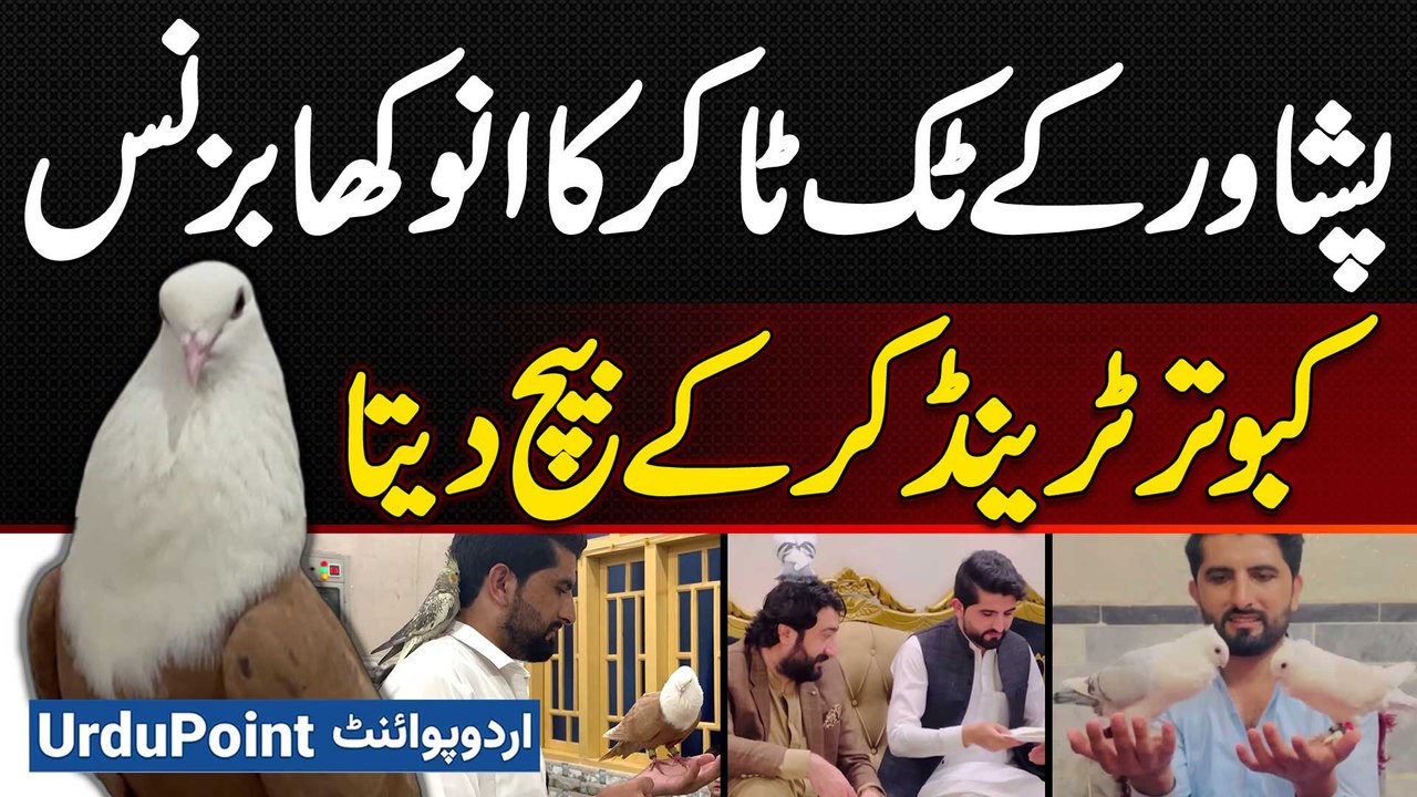 TikToker Naseem Aslam Trains Pigeons & Sells Them - How Much Did Zafar Supari Pay for Tiger Pigeon?